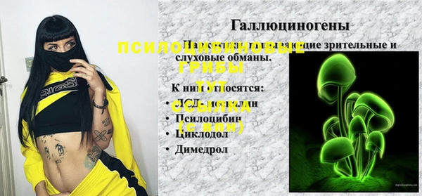 спиды Алексеевка
